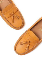 Forme Mango